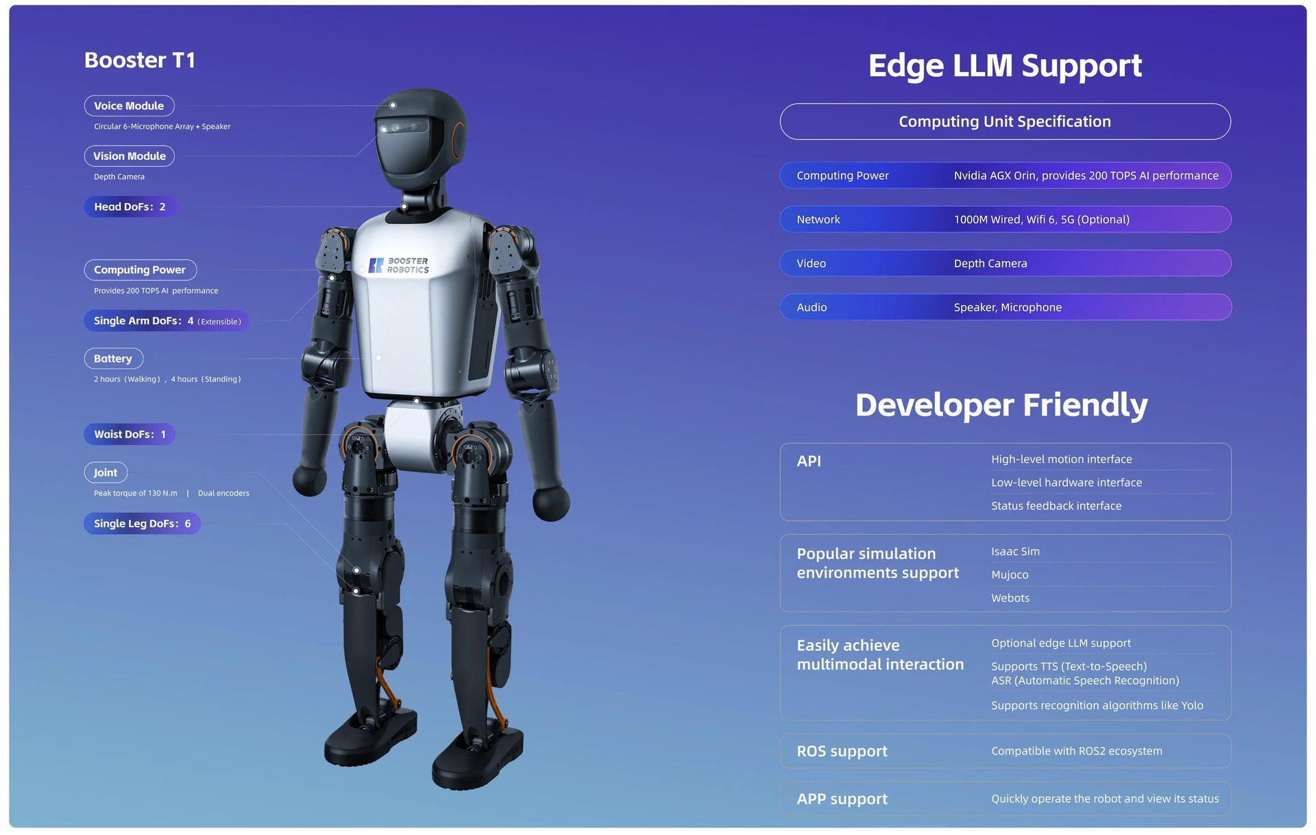 Booster T1 Humanoid Robot for Developers