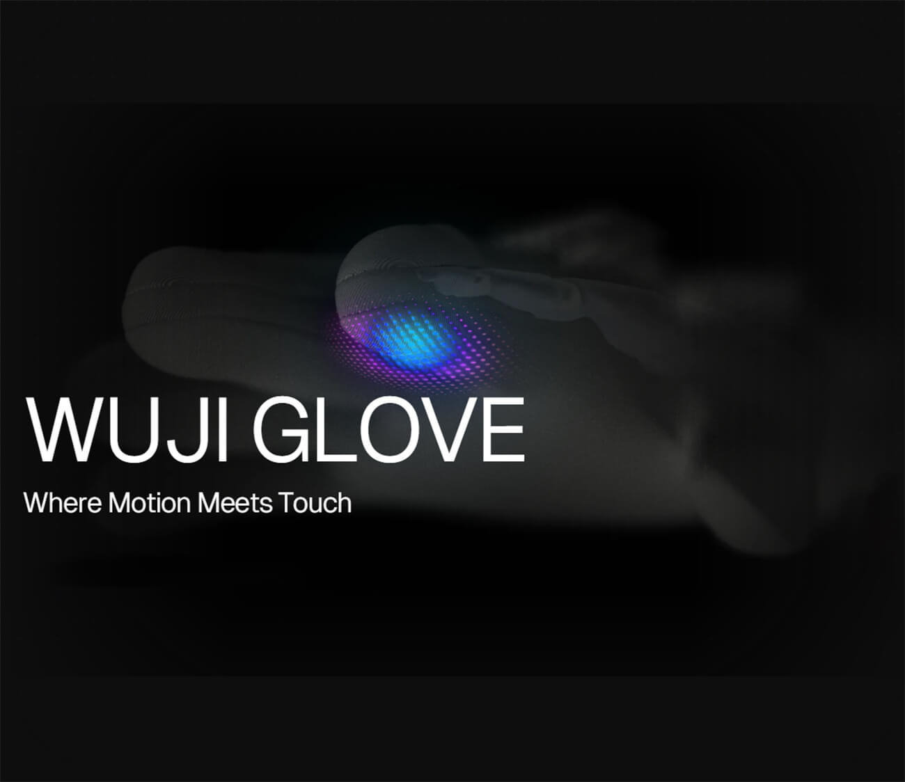 WUJI GLOVE detail image 1