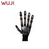 WUJI HAND 2 product image 2